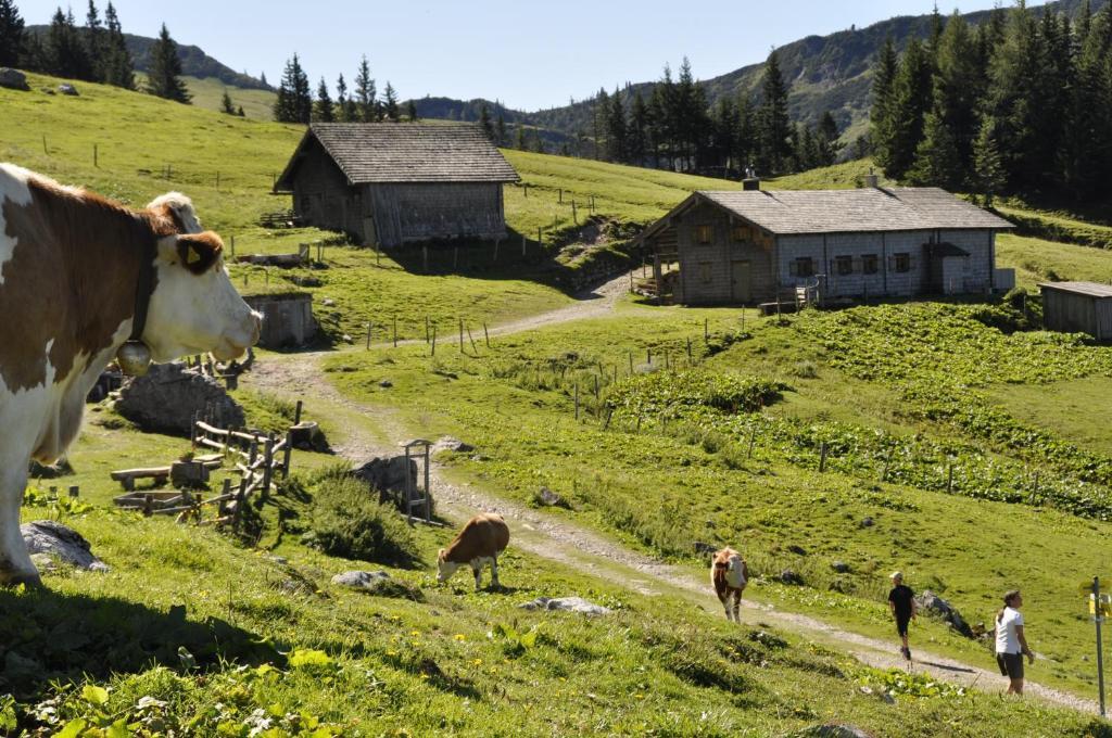 Hotel Landhaus Koller Gosau Zewnętrze zdjęcie