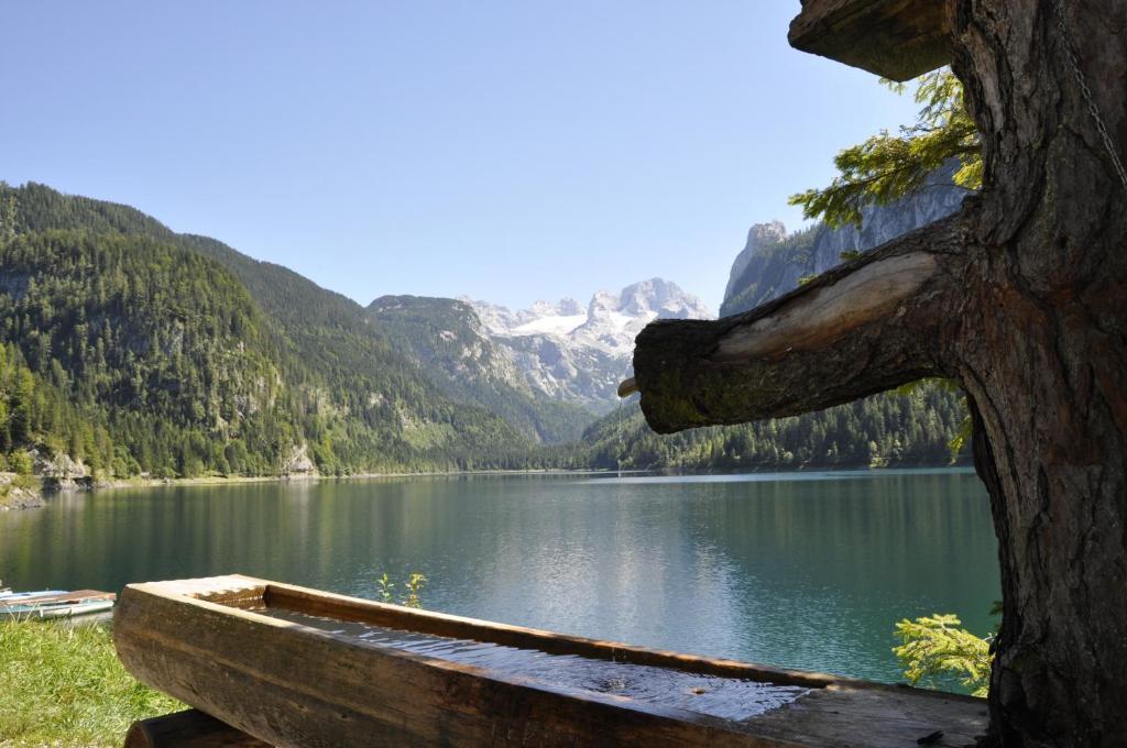 Landhaus Koller Gosau Zewnętrze zdjęcie